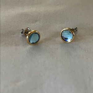 Swarovski Crystal Touchstone Earrings